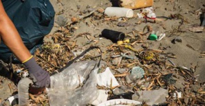 Sur les plages de Méditerranée. Photo Jean-Baptiste Andreani - Mission CorSeaCare. Sur les plages de Méditerranée. Photo Jean-Baptiste Andreani - Mission CorSeaCare.
