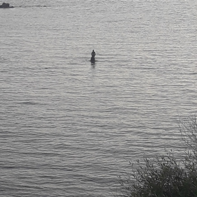 Marc Petit : « Ce musée sous-marin, c’est de la poésie pure ! » Marc Petit : « Ce musée sous-marin, c’est de la poésie pure ! »