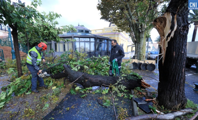 (Photo Michel Luccioni) (Photo Michel Luccioni)