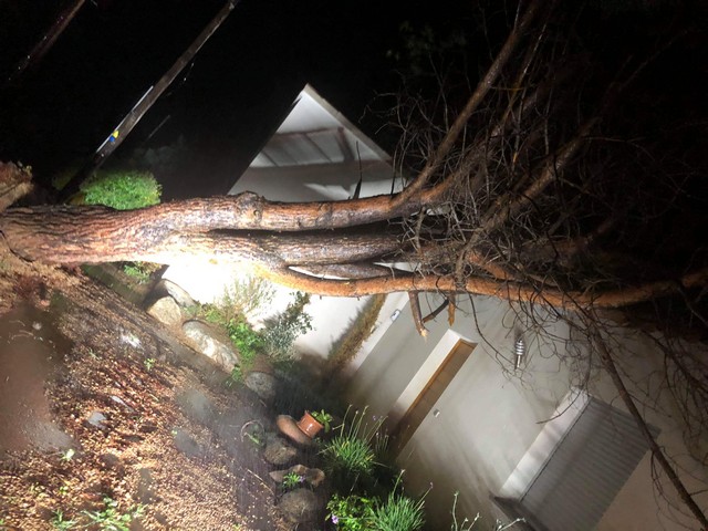 Un arbre s'est couché sur le toit d'une maison route de l'aéroport à Calvi