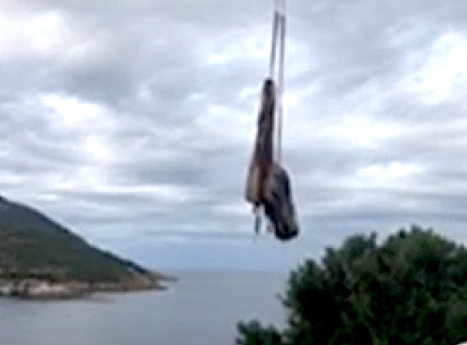 Galeria : La carcasse du cachalot échoué lundi a été retirée Galeria : La carcasse du cachalot échoué lundi a été retirée