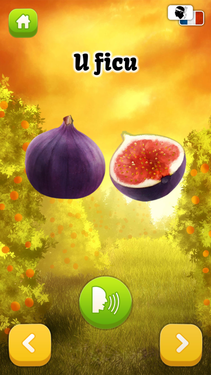 Bon anniversaire à Lingue Vive : L’application fait son chemin Bon anniversaire à Lingue Vive : L’application fait son chemin