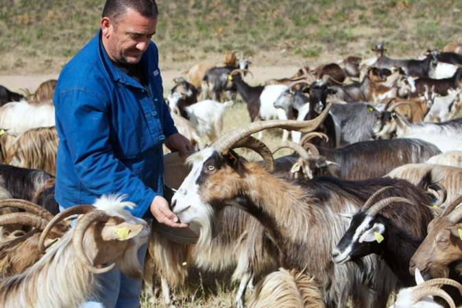 Jean-Christophe Savelli (Via Campagnola) Jean-Christophe Savelli (Via Campagnola)