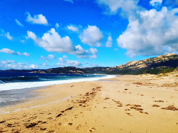 La photo du jour : Sur le sable doré de Murtoli