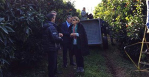 François-Xavier Ceccoli : « L’image de la Corse en matière de produits alimentaires est très bonne »