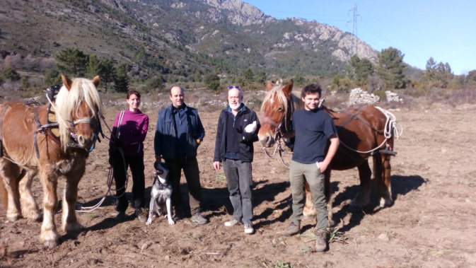 Relance de la culture du blé à Corte : Rendez-vous ce vendredi pour le semis collectif ! Relance de la culture du blé à Corte : Rendez-vous ce vendredi pour le semis collectif !