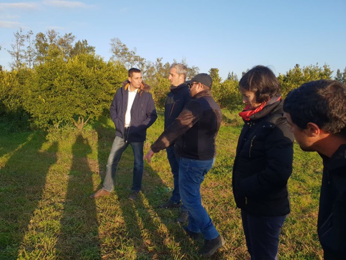 Jeunes Agriculteurs de Haute-Corse : Le soutien des élus nationaux