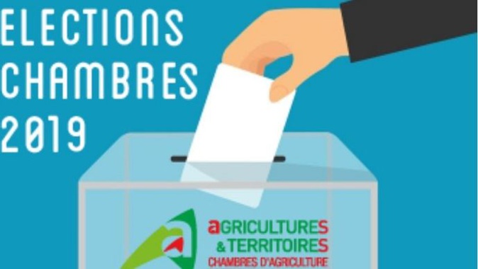 Elections aux Chambres d'agriculture : Vote électronique, mode d’emploi Elections aux Chambres d'agriculture : Vote électronique, mode d’emploi