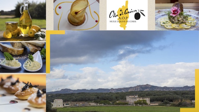 Le syndicat AOC Oliu di Corsica organise une journée autour de l’Oliu di Corsica le 28 janvier prochain à Bonifacio