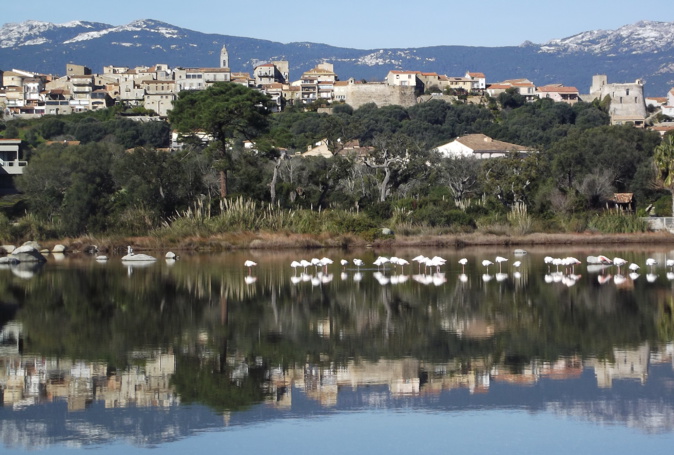 La photo du jour : Portivechju vu des marais salants La photo du jour : Portivechju vu des marais salants