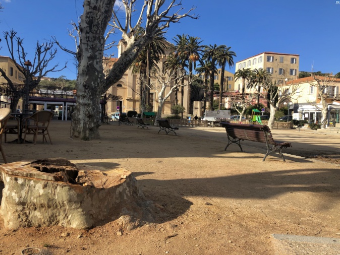 Lisula : Le platane abattu était malade et menaçait de tomber sur la terrasse du café Lisula : Le platane abattu était malade et menaçait de tomber sur la terrasse du café