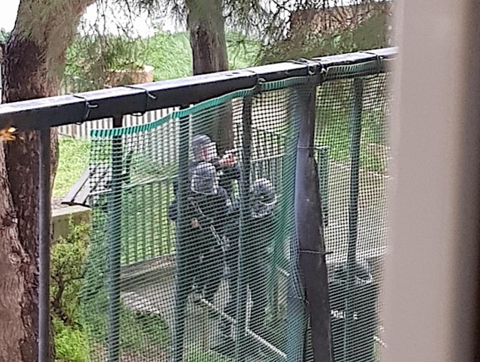 Les policiers en arme au pied de l'immeuble (Photos O. Baldocchi)