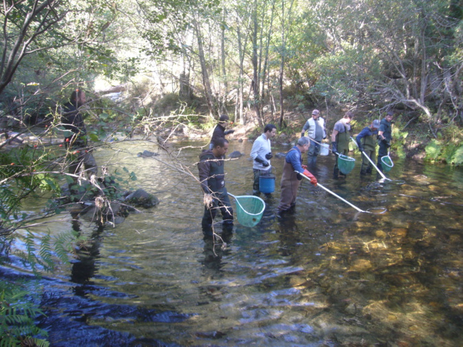 EDF et les AAPPMA de l’Alta Rocca toujours unies pour protéger la biodiversité du Rizzanese EDF et les AAPPMA de l’Alta Rocca toujours unies pour protéger la biodiversité du Rizzanese