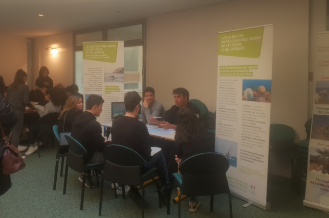 Bilinguisme et développement durable font bon ménage au Lycée Paul Vincensini de Bastia