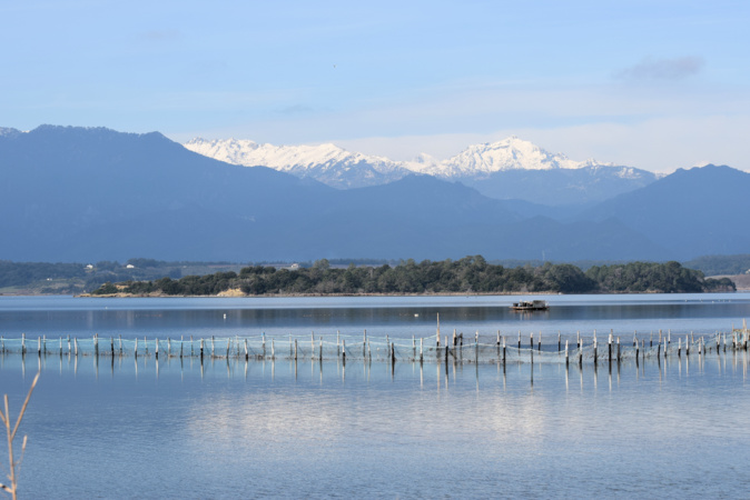 La photo du jour : l'étang d'Urbino et le Monte d'Oro capturés au petit matin