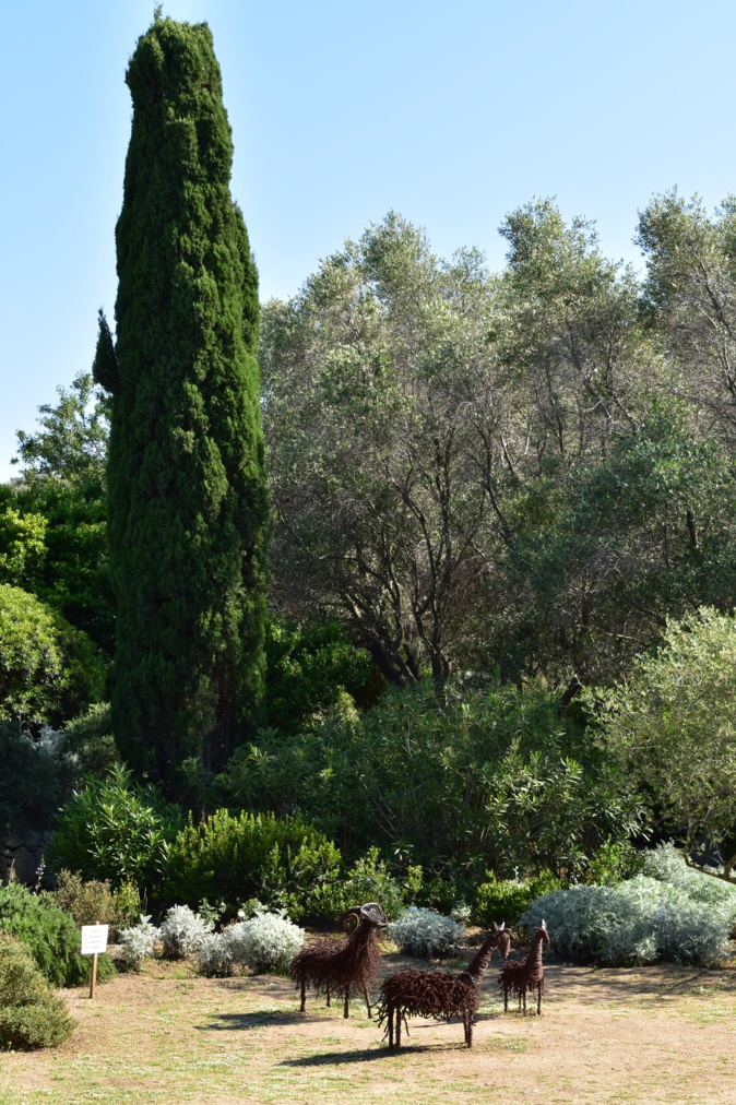 Appel à candidature « Rendez-Vous aux Jardins » 2019 IN(di)VISIBLE Appel à candidature « Rendez-Vous aux Jardins » 2019 IN(di)VISIBLE
