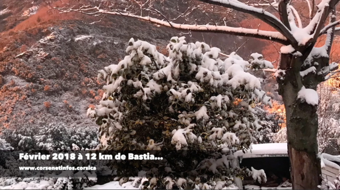 Vidéo : Février 2018-Février 2019 en Corse, cherchez l'erreur ! Vidéo : Février 2018-Février 2019 en Corse, cherchez l'erreur !