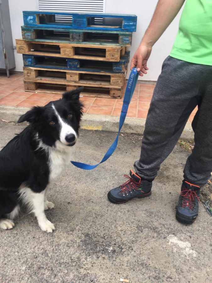 Ajaccio : On est toujours sans nouvelles du disparu de Castellucio Ajaccio : On est toujours sans nouvelles du disparu de Castellucio
