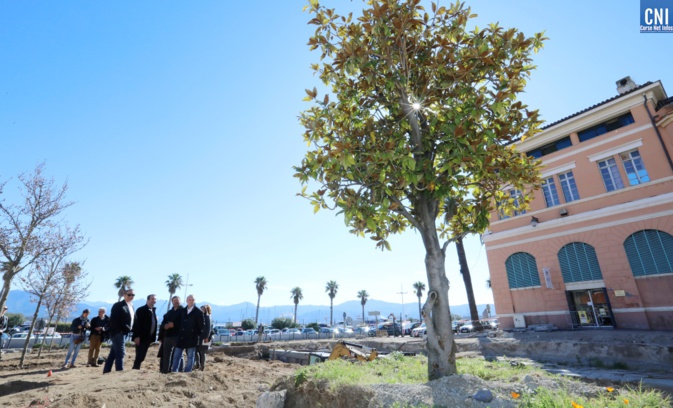 Ajaccio : La place Campinchi retrouve son âme méditerranéenne 