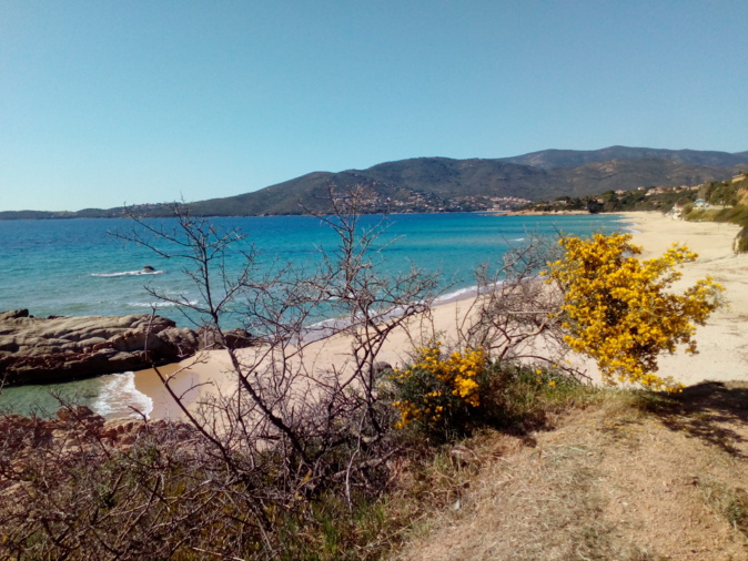 Plage de Sagone, Sylvie Paumier Plage de Sagone, Sylvie Paumier