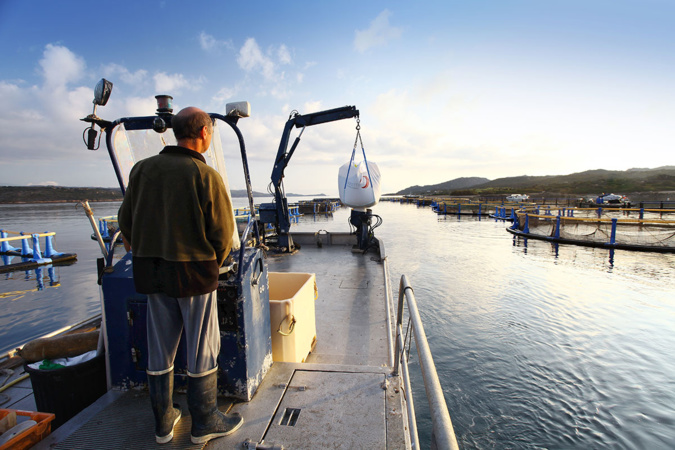 Bateau à Sant'Amanza Bateau à Sant'Amanza