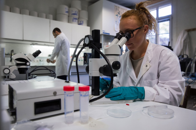 Acquacultura : l’Università di Corsica-CNRS è l'acquacultori corsi facenu a scumessa di a qualità Acquacultura : l’Università di Corsica-CNRS è l'acquacultori corsi facenu a scumessa di a qualità