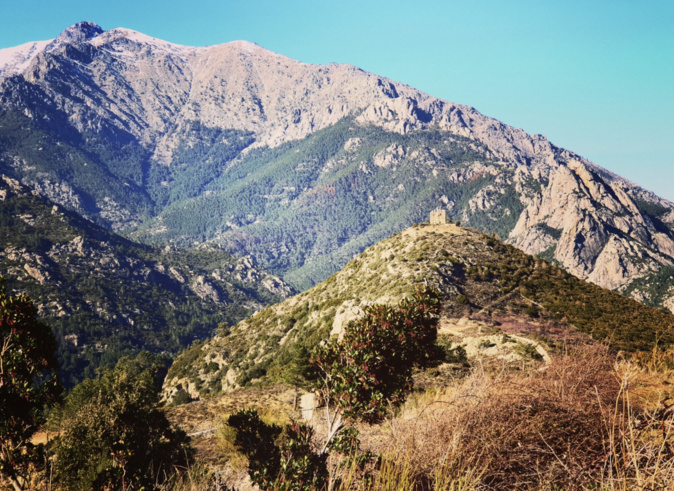 Photo Anne-Cecile Paolacci