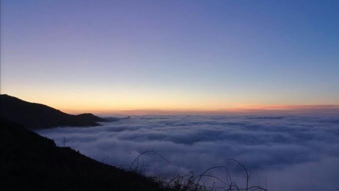 Vanina Luiggi-Planard Vanina Luiggi-Planard