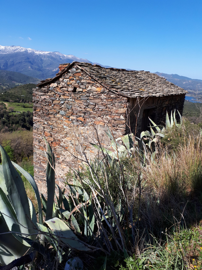 La photo du jour : Vieilles pierres et sommets enneigés à u Poghju d'Oletta La photo du jour : Vieilles pierres et sommets enneigés à u Poghju d'Oletta