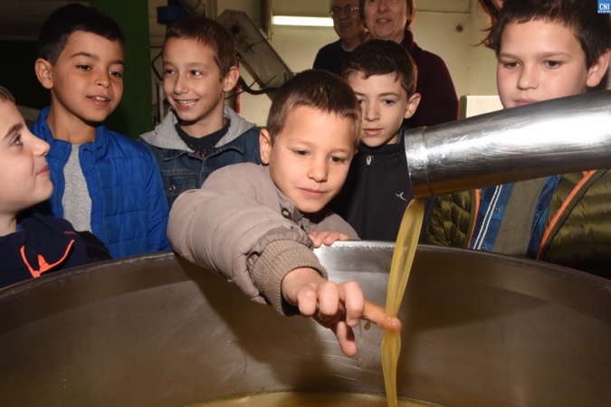 Les élèves de Montegrossu visitent la coopérative oléicole de Balagne