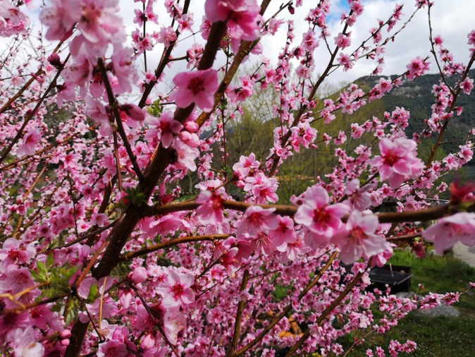 Photo Françoise Geronimi Photo Françoise Geronimi