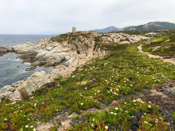 La photo du jour : Punta di Spanu