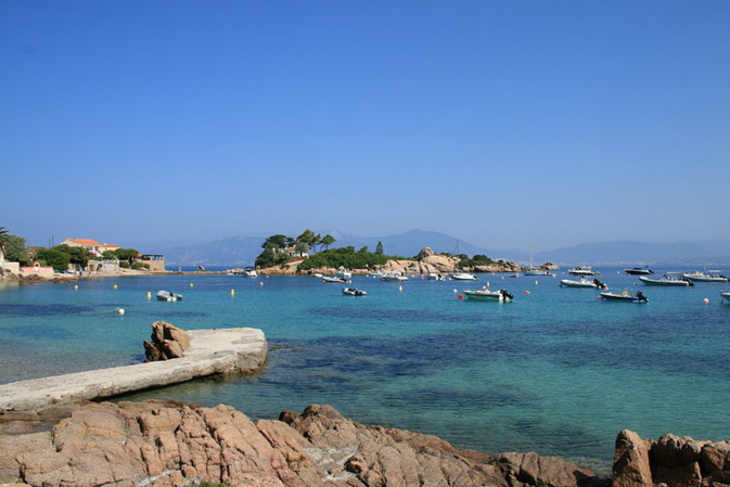 Fest'Isula : Pietrosella célèbre la nature Fest'Isula : Pietrosella célèbre la nature