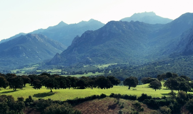 La photo du jour : Tous les verts de la vallée de l'Ortolu