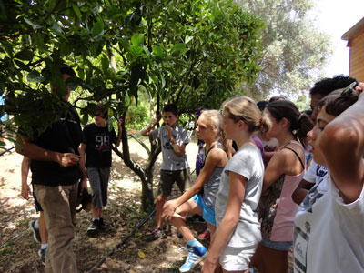 Crédit photo http://agricultura2a.over-blog.com Crédit photo http://agricultura2a.over-blog.com