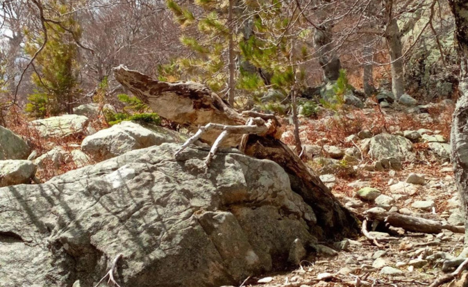 La photo du jour : Sur le chemin des bergeries de Pozzi