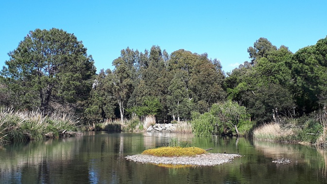 La photo du jour : La Figarella comme un havre de paix La photo du jour : La Figarella comme un havre de paix