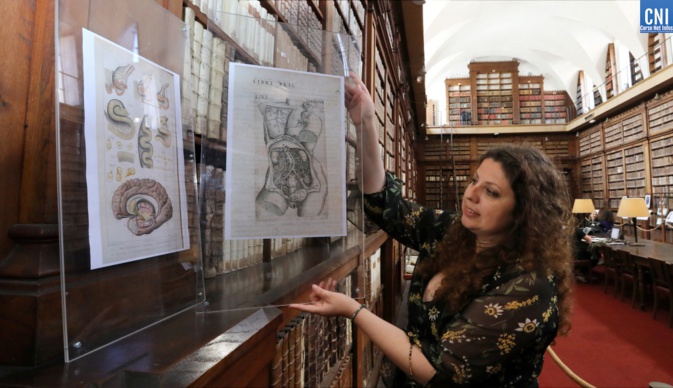 Photos Michel Luccioni