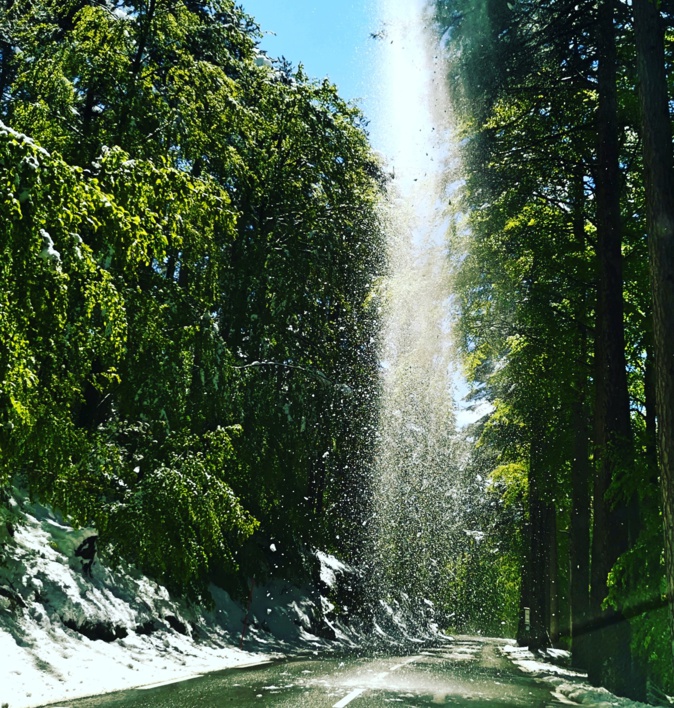 Photo Olivier Perrini