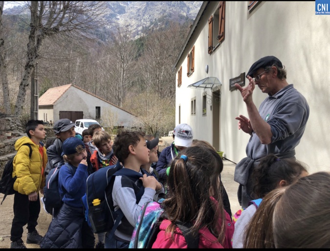 A classa di CE1 bislingua di a scola Albert Camus di Lisula A classa di CE1 bislingua di a scola Albert Camus di Lisula