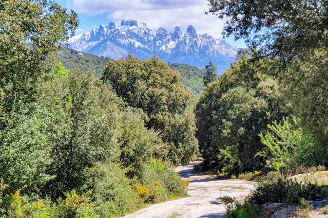 Photo Dominique MONDOLONI