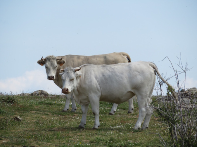 Photo Françoise Geronimi