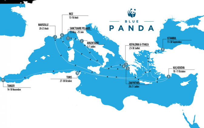 Blue Panda : un voilier pour mettre en lumière la beauté menacée de la Méditerranée