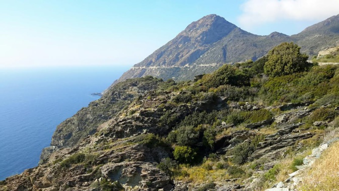 La photo du jour : sauvage Cap Corse