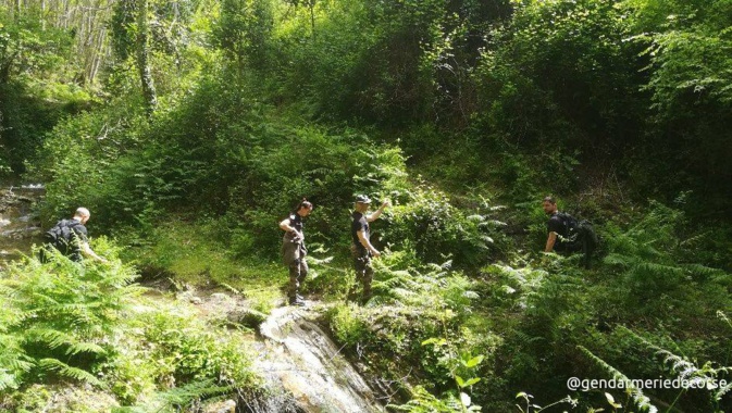 @gendarmeriedecorse @gendarmeriedecorse