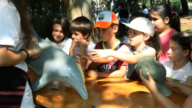 Photos Michel Luccioni Photos Michel Luccioni