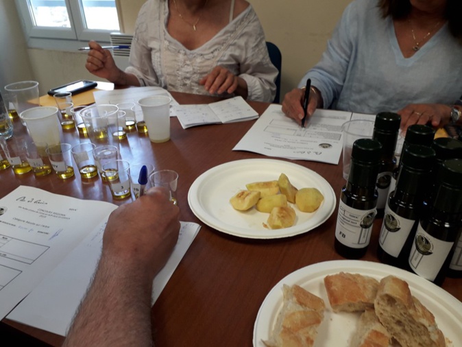 Les lauréats du XIe concours régional des huiles d'olive de Corse en AOP désignés à Corte