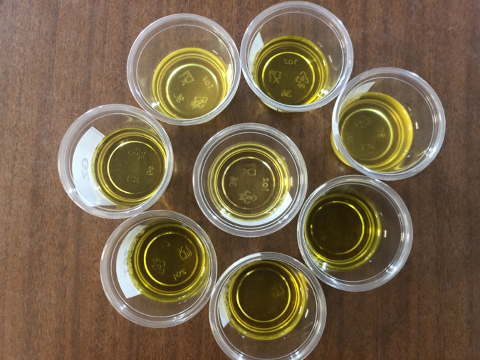 Daniel Cartayrade è Louis Cesari piglianu e medaglie d'oru à u cuncorsu di l'oliu d'aliva