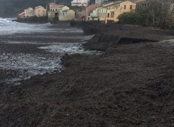 Une cagnotte pour la plage de Meria Une cagnotte pour la plage de Meria