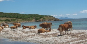 (Image d'illustration) (Image d'illustration)